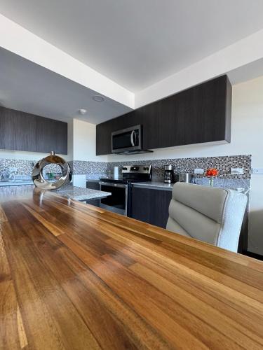 Penthouse San Jose Costa Rica in San Pedro