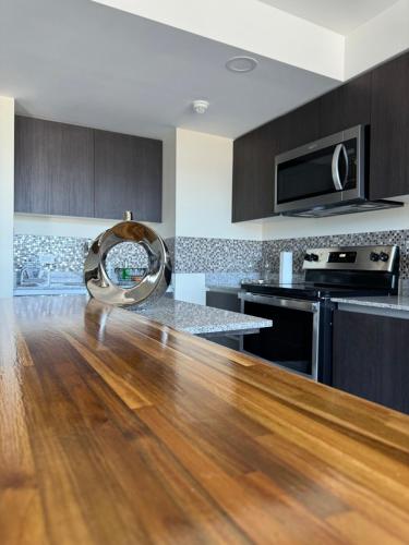 Penthouse San Jose Costa Rica in San Pedro