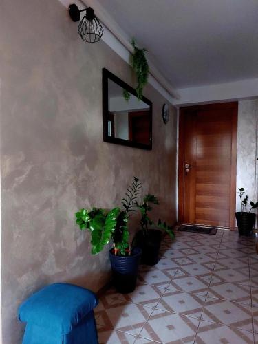 Agroturystyka u Marty in Tylicz