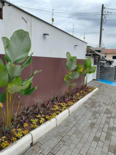 Apto prox Norte shop Br 470 Nei in Itoupavazinha