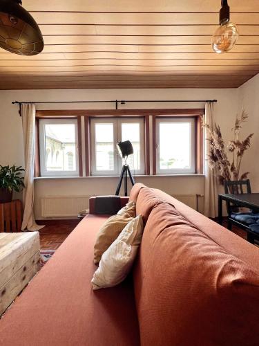 Cosy haven in Aalst with terrace a green haven, Алст (фото 3)