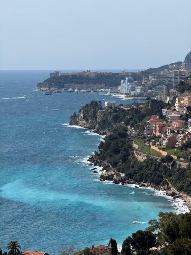 Top Location- Panoramic Villa with Montecarlo Views and Pool - Location, gîte - Roquebrune-Cap-Martin