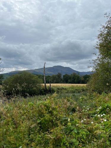 Acorn House Callander in Callander