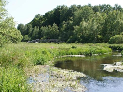 บริการและสิ่งอำนวยความสะดวก, 6 person holiday home in Hovborg-By Traum in ฮอฟเบิร์ก