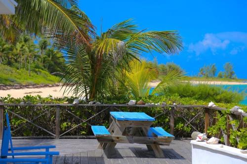 Med Point home
