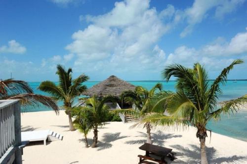 Sand Dollar Cottage cottage in Rock Sound