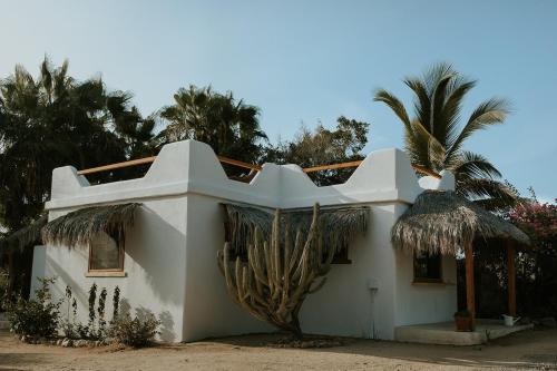 Villa Gardenia - Oceanview Villas w Pool, Todos Santos