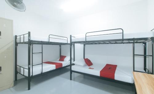RedDoorz at Qhouzz near PUP, Manila