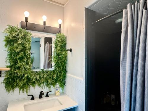 1BR Apt 7 mins Integris Monthly 15 Off #37A, Oklahoma City (fotografie 4)