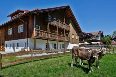 Viktoria Apartments - image 2