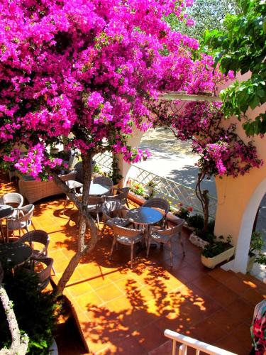 Hotel de la Plage Santa Vittoria - image 13