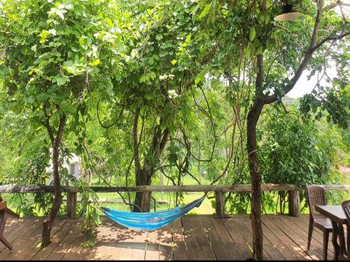 Surrounding environment, Quiet Lodge in Sen Monorom