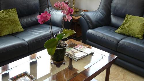 拉斯哥达斯乡村旅馆 拉斯哥达斯乡村旅馆