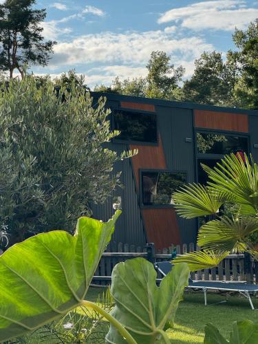 Exterior view, La Pura Vida - Glamping Tiny Houses in Brandenburg an der Havel