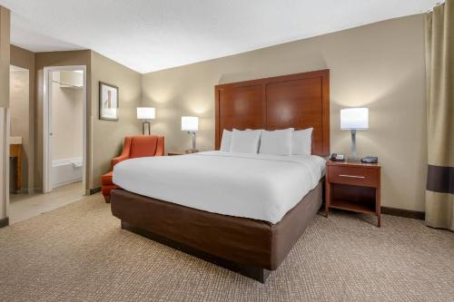 Comfort Inn Memphis Downtown - image 9