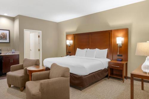 Comfort Inn Memphis Downtown - image 13