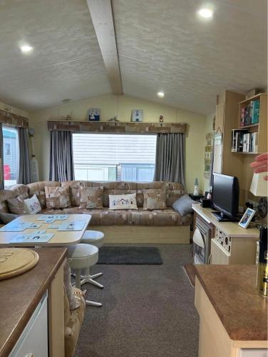 M15 Meadow View Golden palm