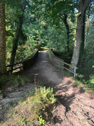 Natur & Ruhe in Prümzurlay (Natur & Ruhe in Prumzurlay) in Prümzurlay