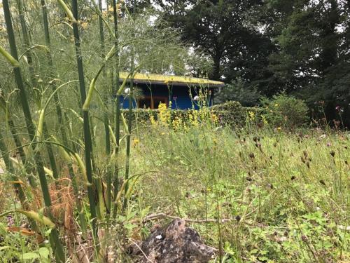Das Blaue Haus in Groß Ippener, Deutschland