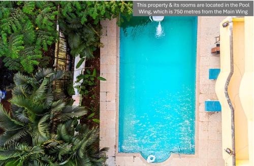 Úszómedence, Jungle by sturmfrei Vagator near Chapora Beach