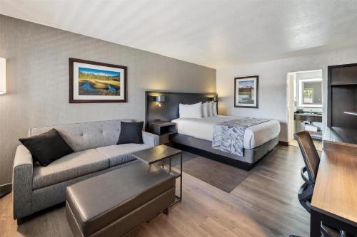 Best Western Plus Hilltop Inn Room Type - King Room with Sofa Bed - Pet Friendly/Non-Smoking