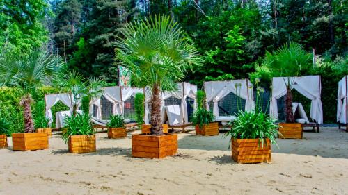 Hotel Czarny Potok Resort SPA & Conference