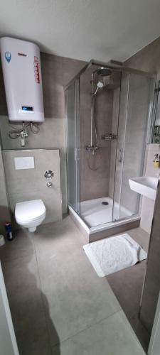 Shower, Book your Room in Darmstadt City in Darmstadt City Center
