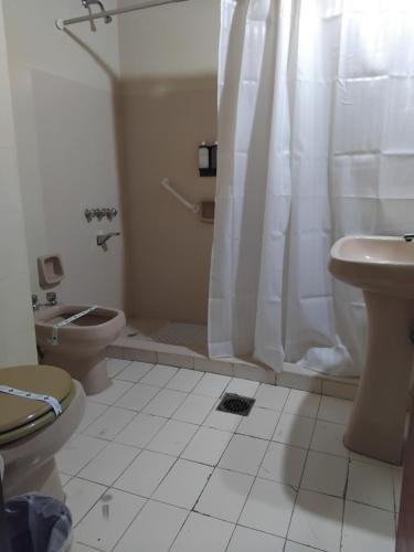 Hotel Shauard - image 4