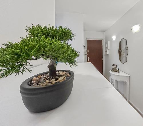 Appartement lumineux avec balcons et parking privé (Appartement lumineux avec balcons et parking prive) in 希利馬紮蘭