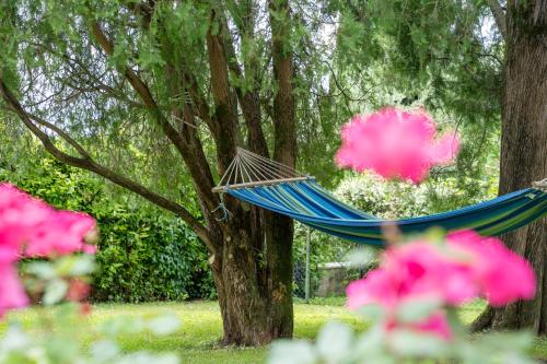 Suite Deluxe a Villa Paradiso - image 8