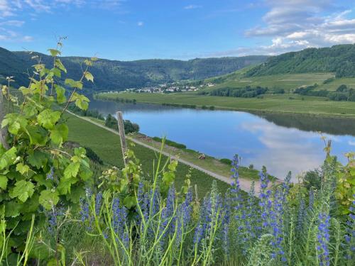 Weingut und Gästezimmer Jörg Thul (Weingut und Gastezimmer Jorg Thul) in Detzem