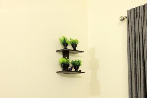 Prithvi Nila Heavens 3 BHK Homestay Ground Floor - image 4