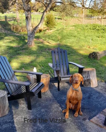 Brookbank by Tiny Away in เนียริมใต้