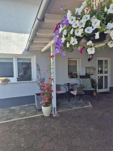 Detmolder Perle - Apartment - Detmold