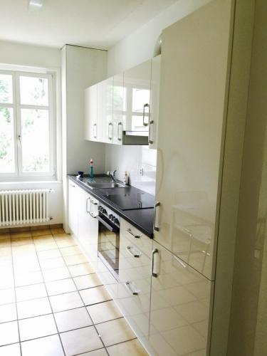 City AppartementStJakob10minSBB5minMesse10min, Basel (Foto 10)