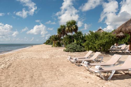 Platinum Yucatan Princess All Inclusive Suites and Spa Resort Adults Only - image 3