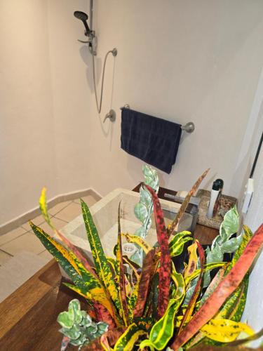 Angels Beachhouse - Beachfront fast internet Queen beds new owners - image 4