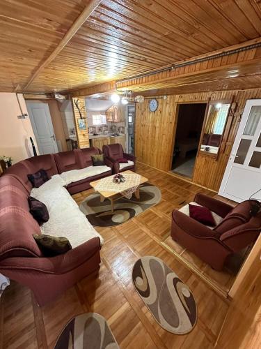cabana din vale in 內格雷尼