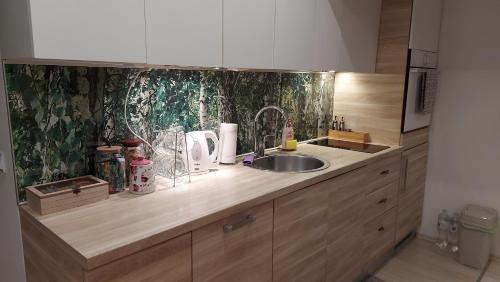 Apartment XYZ Vlašić (Apartment XYZ Vlasic) in Šišava