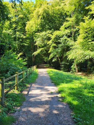 Maison studio Le bois fleuri in Lognes