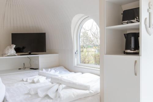 Iglus 4 Personen - Jersleber See Camping & Erlebnisresort in Niedere Borde