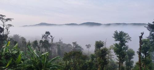 Nisarga Coorg Home Stay in Koothi