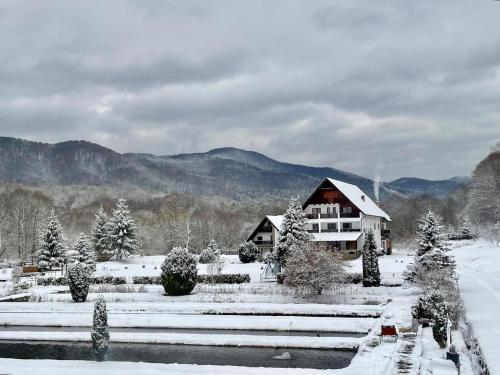 Valea Salbatica - image 3