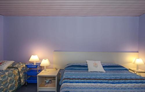 Hotel Rex - image 6