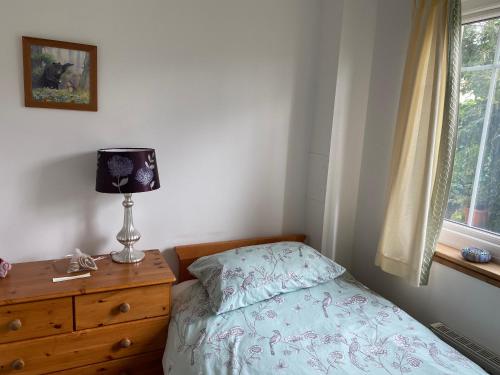1 twin bed