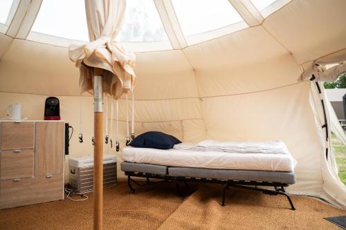 Stargazer Tent met sterrenuitzicht in Callantsoog