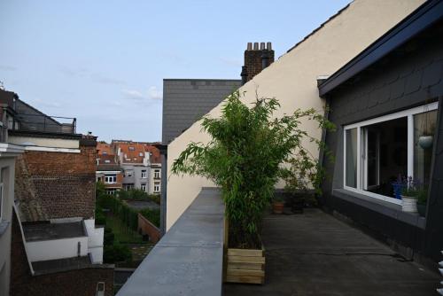 Vintage Soul, Green Vibes, Heart of the City, Brüssel (Foto 7)