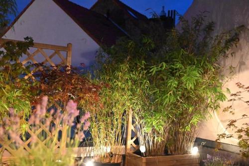 Vintage Soul, Green Vibes, Heart of the City, Brüssel (Foto 11)