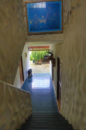 Plumeriahome near Chiangmai Airport – Chiang Mai, 