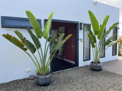 Luxe villa met zwembad in beveiligde woonwijk in 紐波特